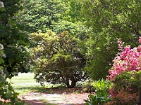 NJ Botanical Gardens 11